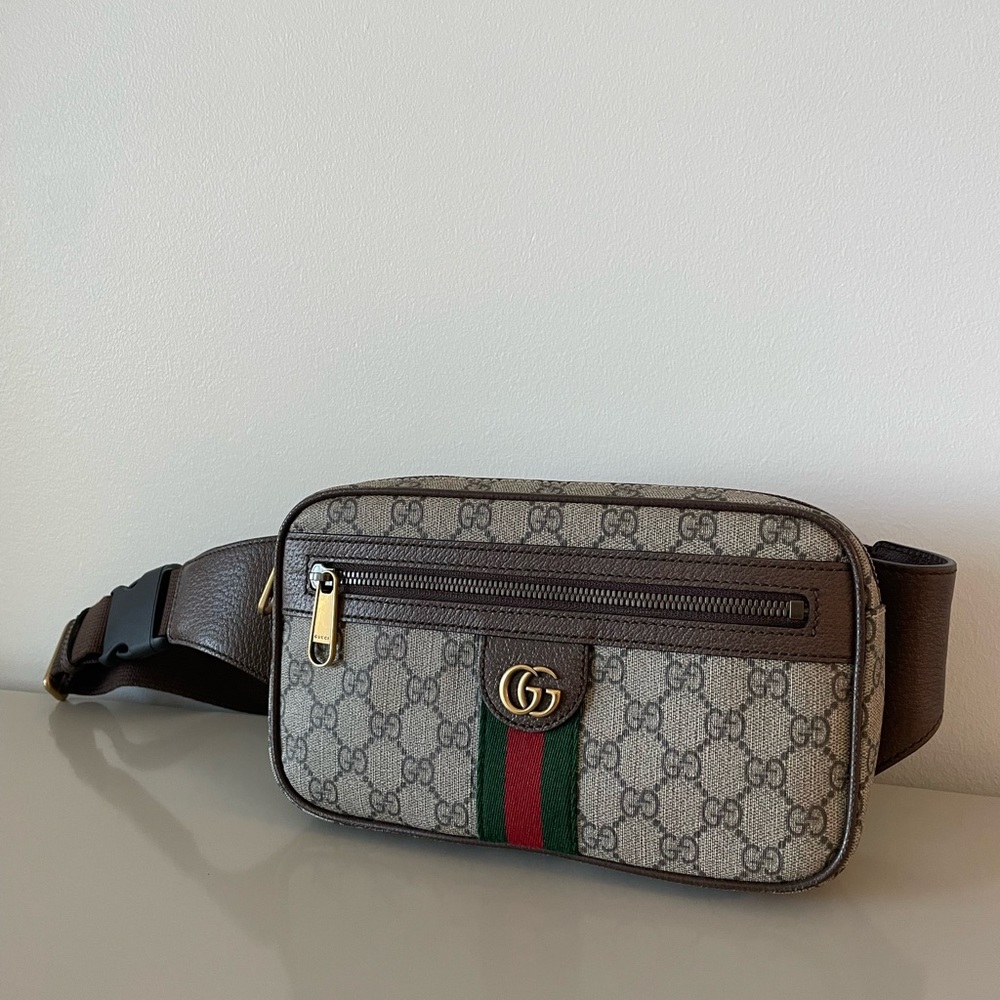 OPHIDIA GG BELT BAG (GUCCI) - Picture 5 of 10